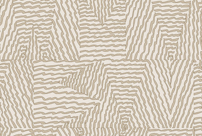Escher image 3