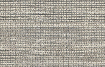 AGAVE image 5