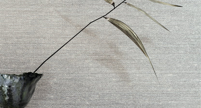 SISAL image 0