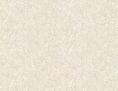 STARDUST image 1