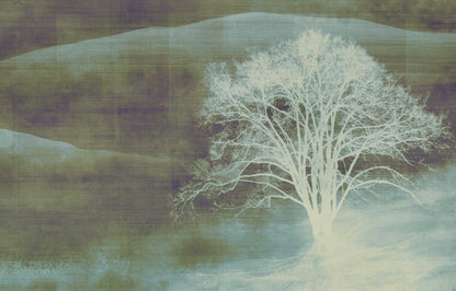 MIST image 6