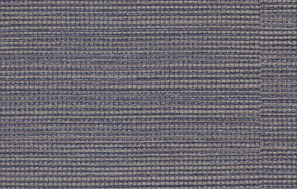 AGAVE image 10