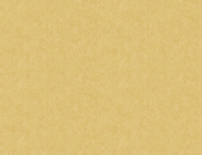 STARDUST image 4