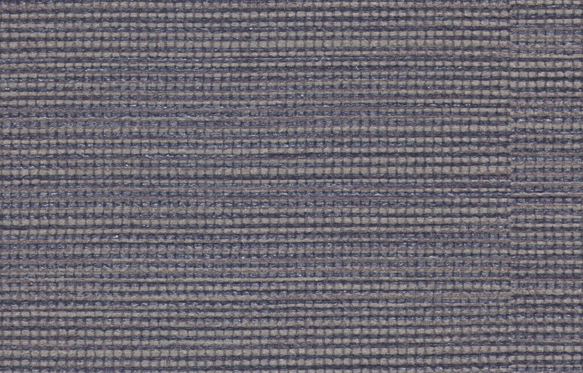 AGAVE image 1