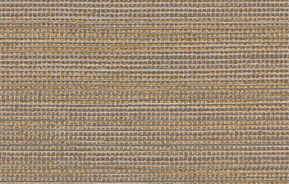 AGAVE image 4