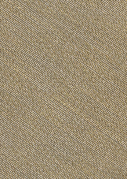 MUSA image 6